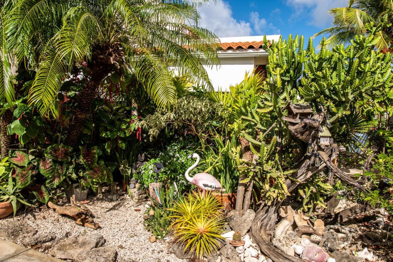 Hamlet Oasis Resort Kralendijk na wyspie Bonaire Zewnętrze zdjęcie