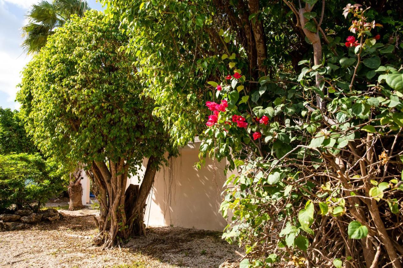 Hamlet Oasis Resort Kralendijk na wyspie Bonaire Zewnętrze zdjęcie