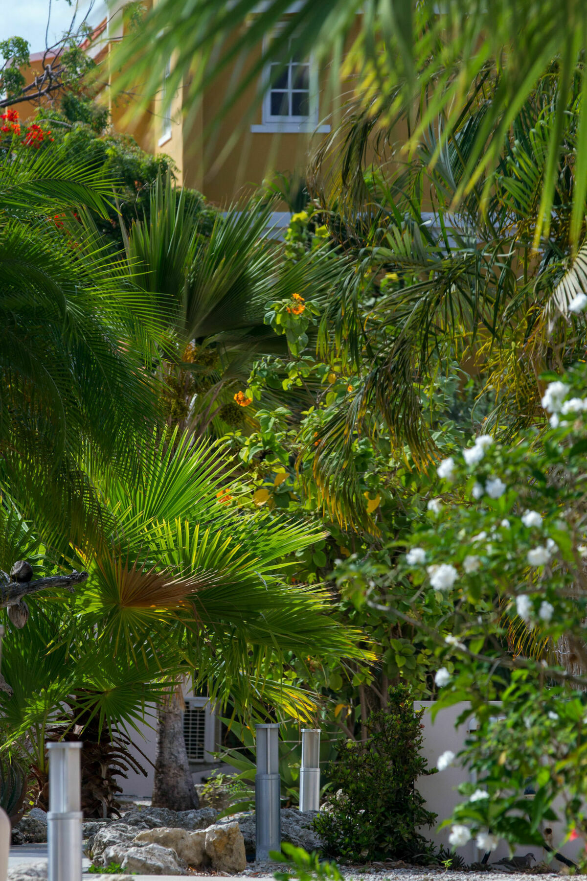 Hamlet Oasis Resort Kralendijk na wyspie Bonaire Zewnętrze zdjęcie