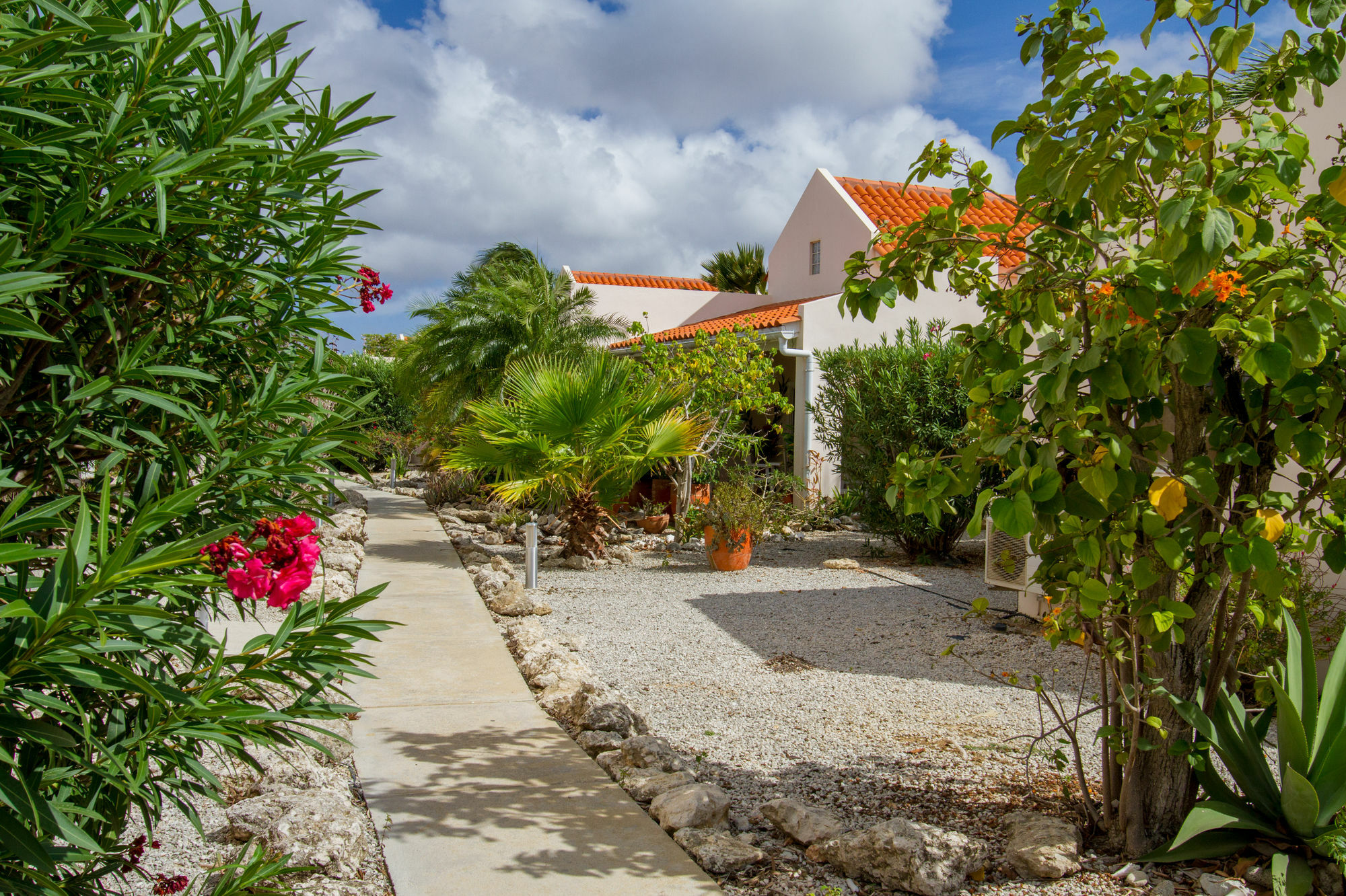 Hamlet Oasis Resort Kralendijk na wyspie Bonaire Zewnętrze zdjęcie