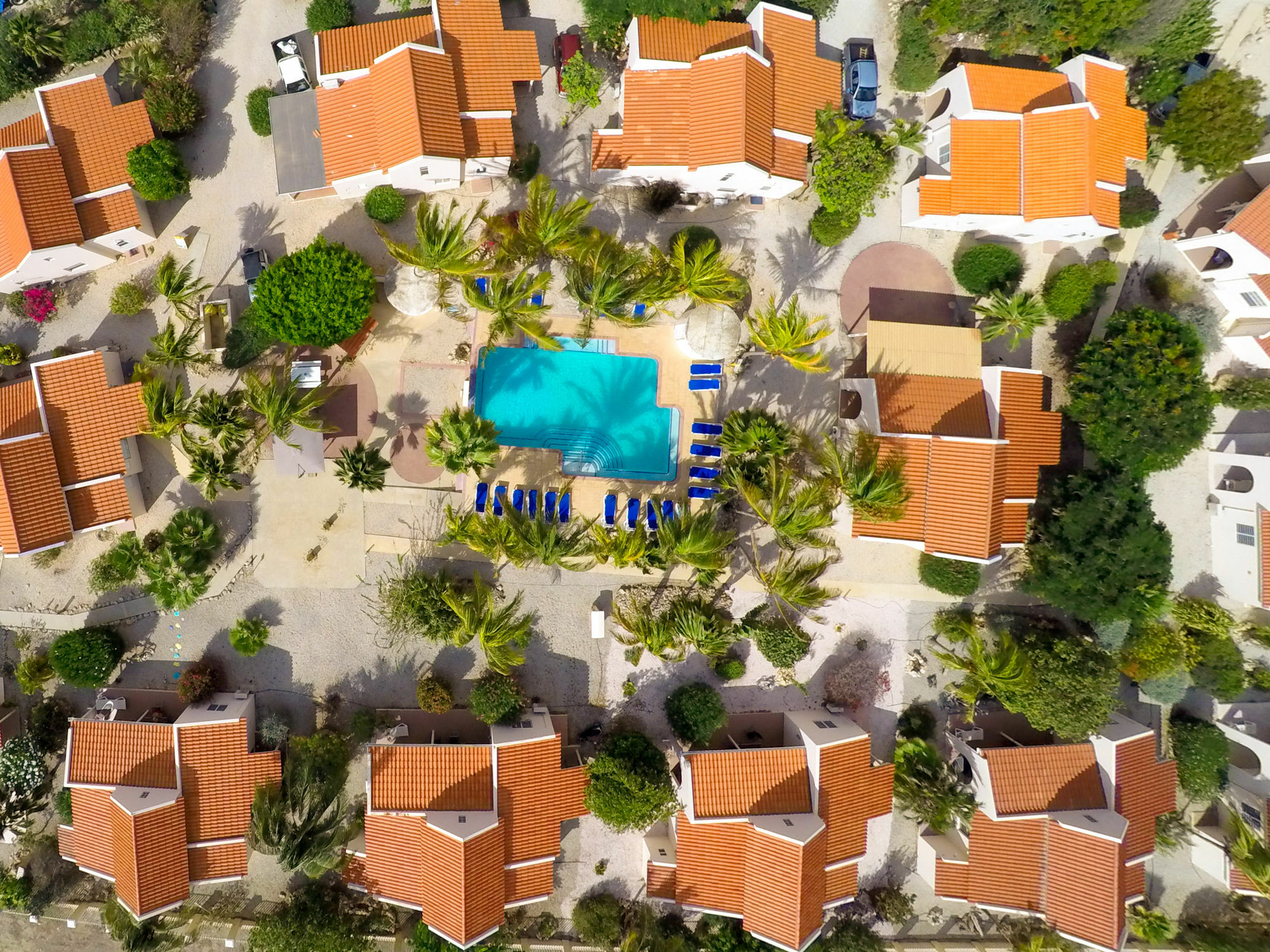 Hamlet Oasis Resort Kralendijk na wyspie Bonaire Zewnętrze zdjęcie